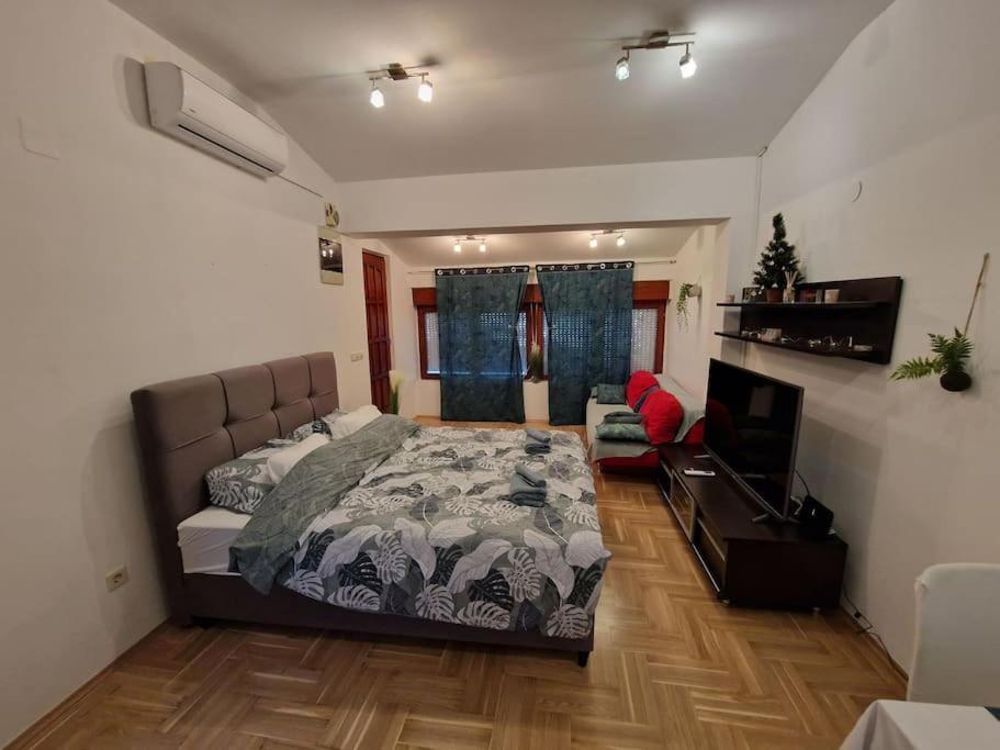Warm House Full Of Green Ambient,Joy And Comfort Zagreb Dış mekan fotoğraf